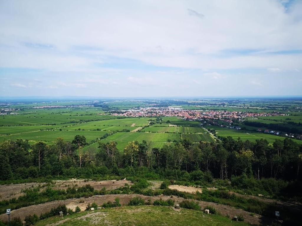 Wohnen Im Herzen Der Pfalz Neustadt an der Weinstraße Εξωτερικό φωτογραφία